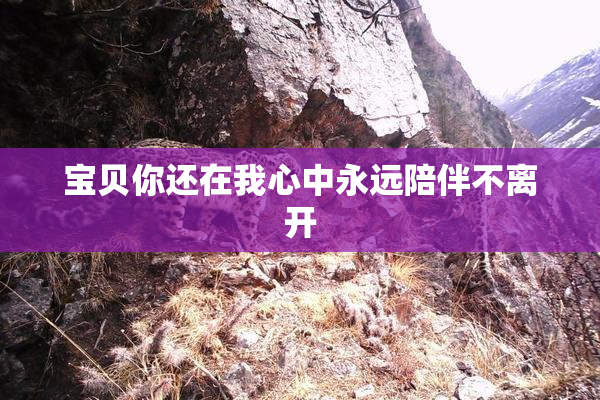 宝贝你还在我心中永远陪伴不离开