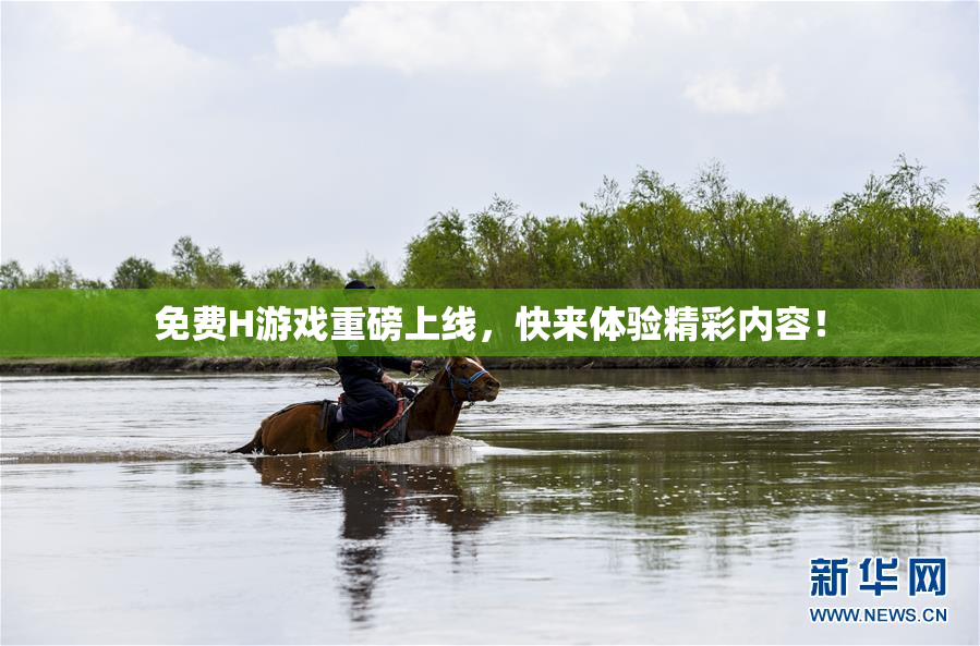 免费H游戏重磅上线，快来体验精彩内容！