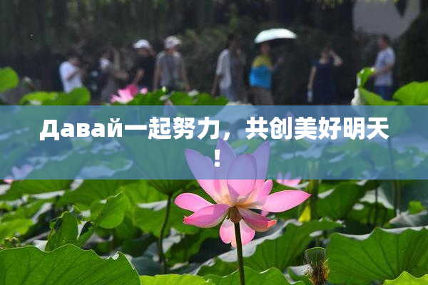 Давай一起努力，共创美好明天！