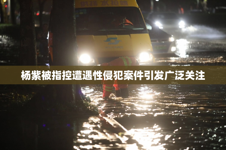 杨紫被指控遭遇性侵犯案件引发广泛关注