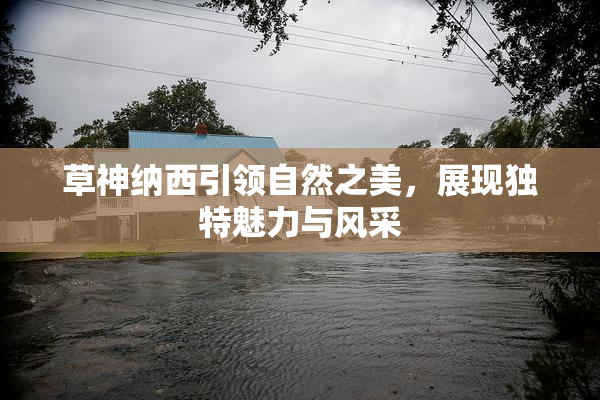 草神纳西引领自然之美，展现独特魅力与风采