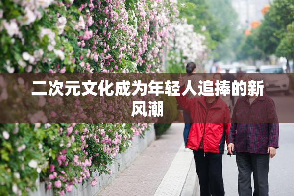 二次元文化成为年轻人追捧的新风潮
