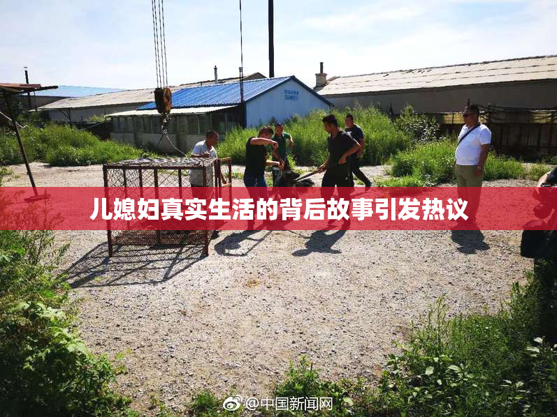 儿媳妇真实生活的背后故事引发热议