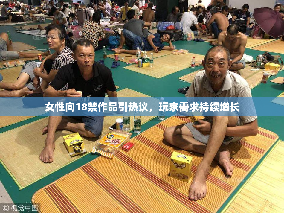 女性向18禁作品引热议，玩家需求持续增长