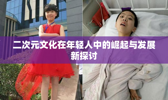 二次元文化在年轻人中的崛起与发展新探讨