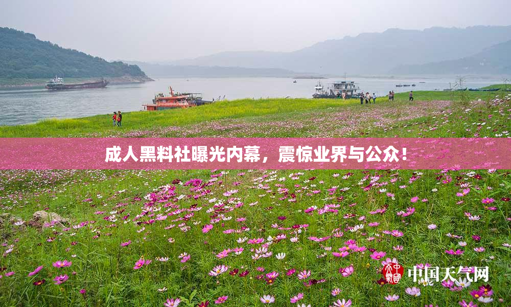 成人黑料社曝光内幕，震惊业界与公众！