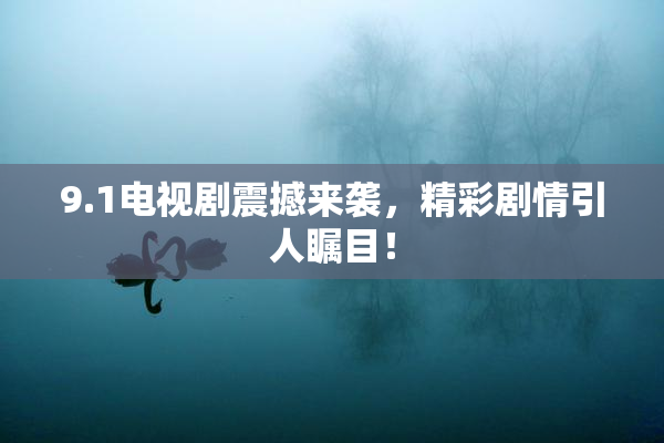 9.1电视剧震撼来袭，精彩剧情引人瞩目！