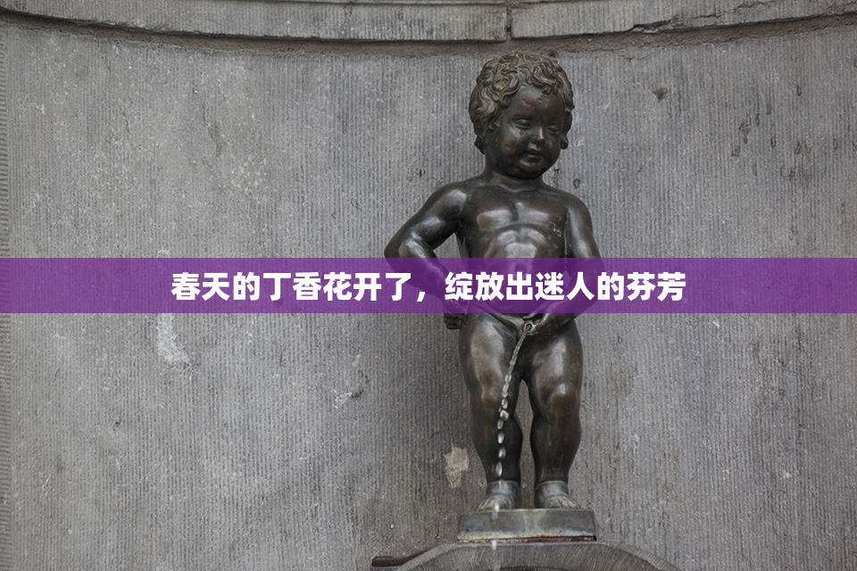 春天的丁香花开了，绽放出迷人的芬芳