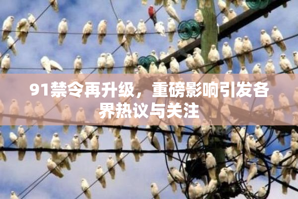 91禁令再升级，重磅影响引发各界热议与关注