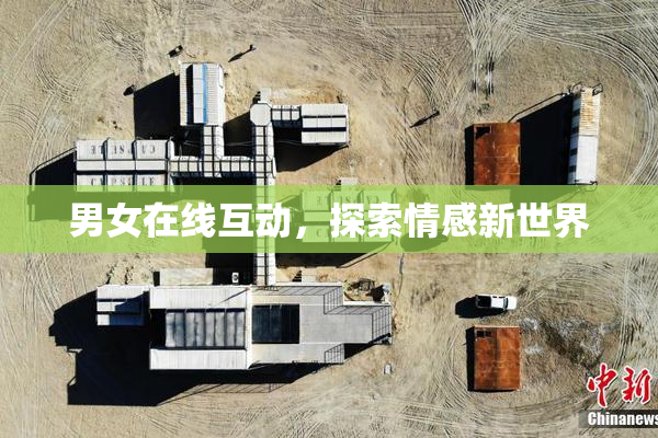 男女在线互动，探索情感新世界