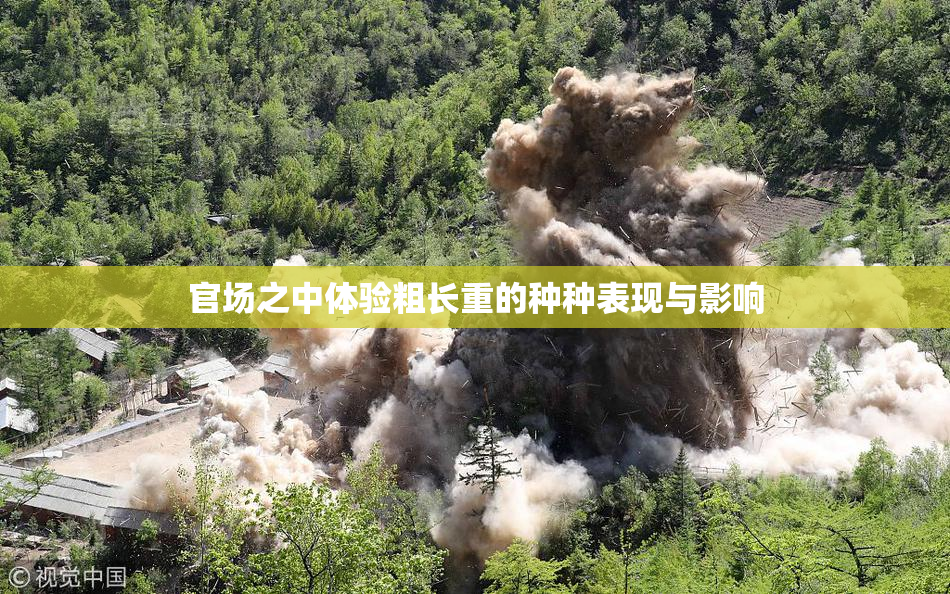 官场之中体验粗长重的种种表现与影响