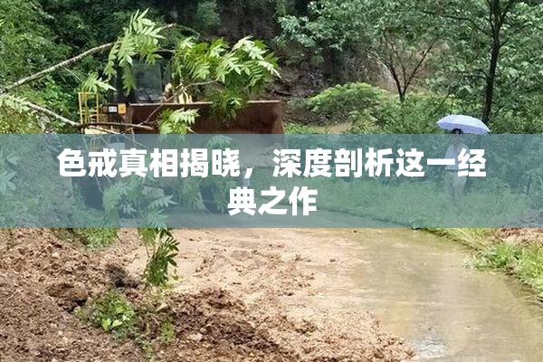 色戒真相揭晓，深度剖析这一经典之作