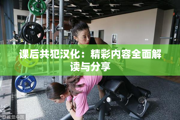 课后共犯汉化：精彩内容全面解读与分享