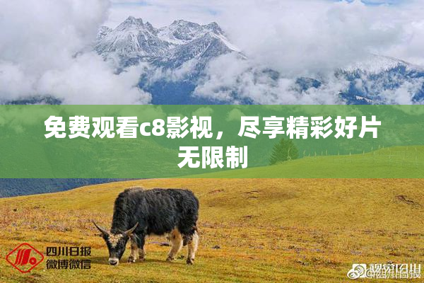 免费观看c8影视，尽享精彩好片无限制
