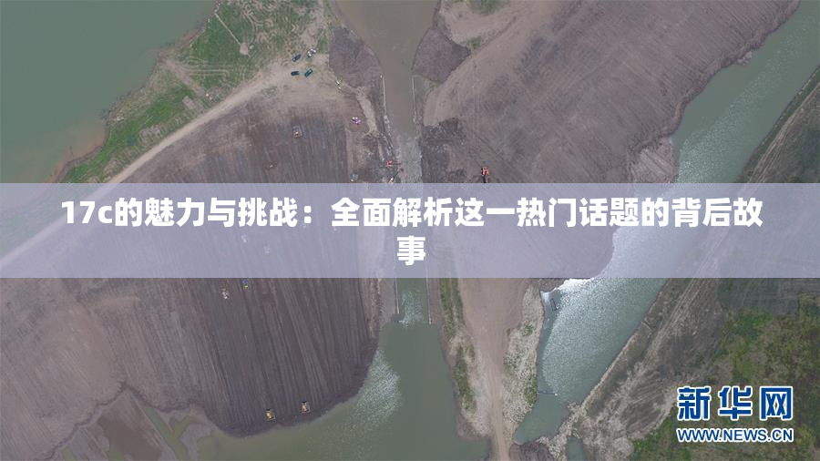 17c的魅力与挑战：全面解析这一热门话题的背后故事