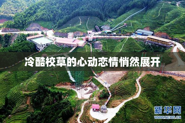 冷酷校草的心动恋情悄然展开