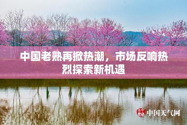 中国老熟再掀热潮，市场反响热烈探索新机遇