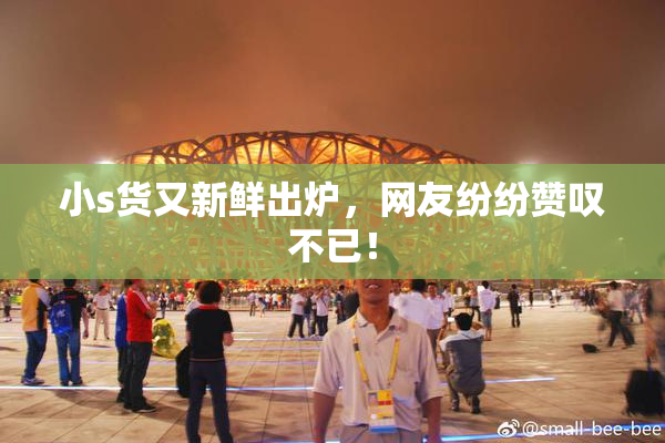 小s货又新鲜出炉，网友纷纷赞叹不已！