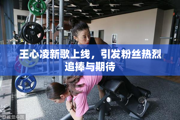 王心凌新歌上线，引发粉丝热烈追捧与期待