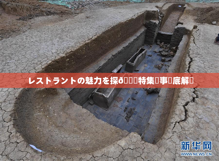レストラントの魅力を探🌃特集記事徹底解説