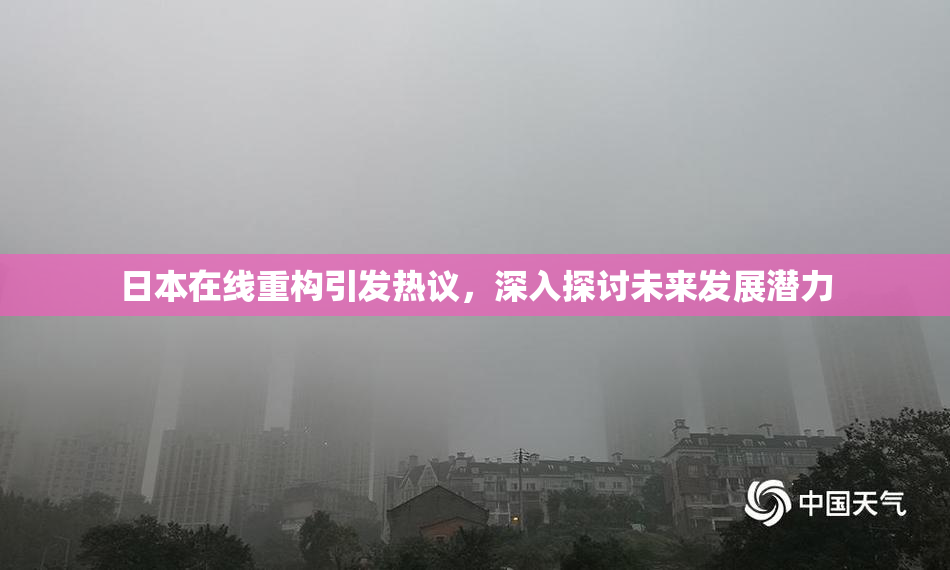 日本在线重构引发热议，深入探讨未来发展潜力