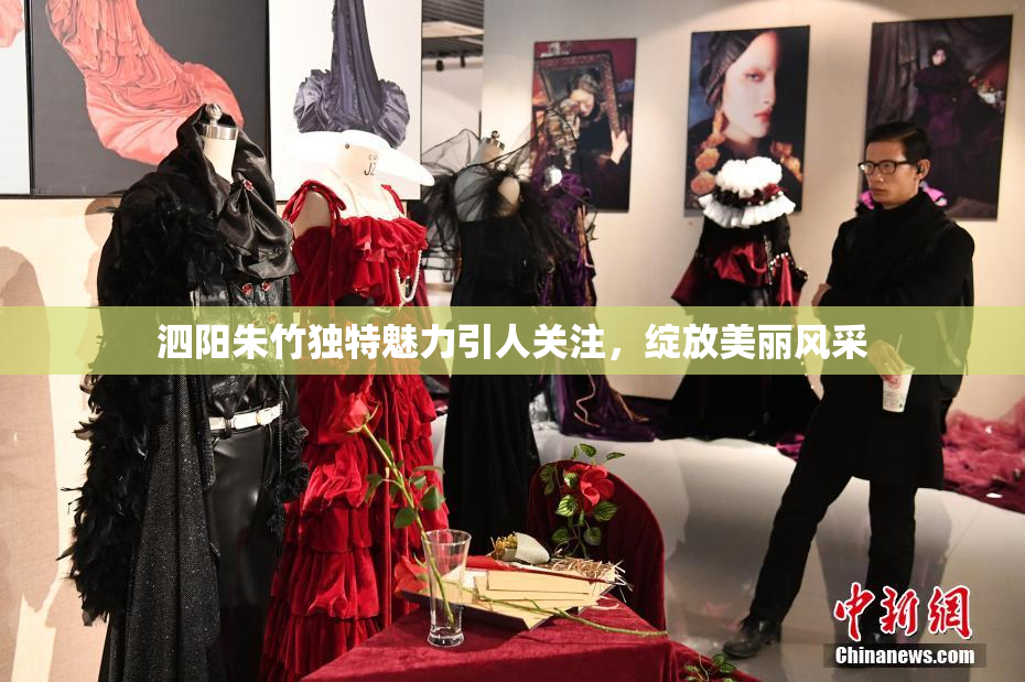 泗阳朱竹独特魅力引人关注，绽放美丽风采