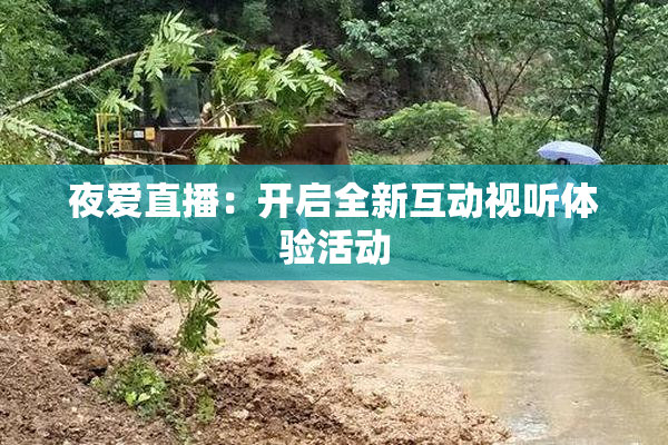 夜爱直播：开启全新互动视听体验活动