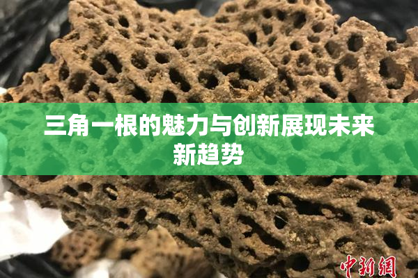 三角一根的魅力与创新展现未来新趋势