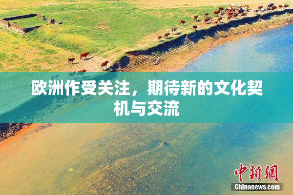 欧洲作受关注，期待新的文化契机与交流
