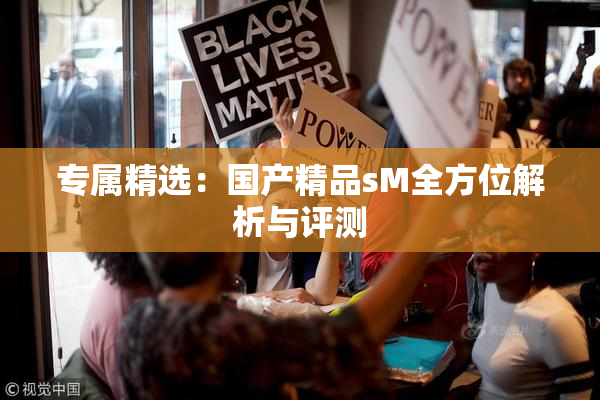 专属精选：国产精品sM全方位解析与评测