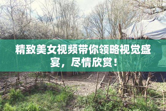 精致美女视频带你领略视觉盛宴，尽情欣赏！