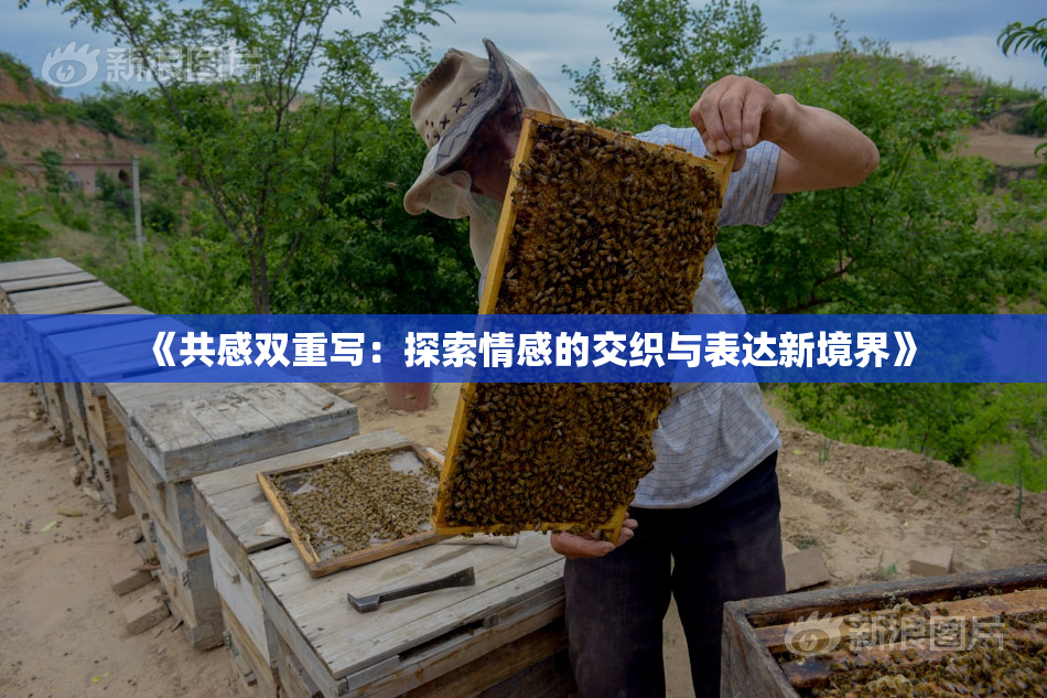 《共感双重写：探索情感的交织与表达新境界》