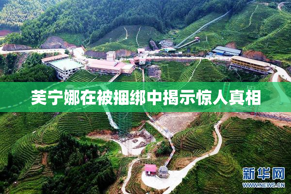 芙宁娜在被捆绑中揭示惊人真相