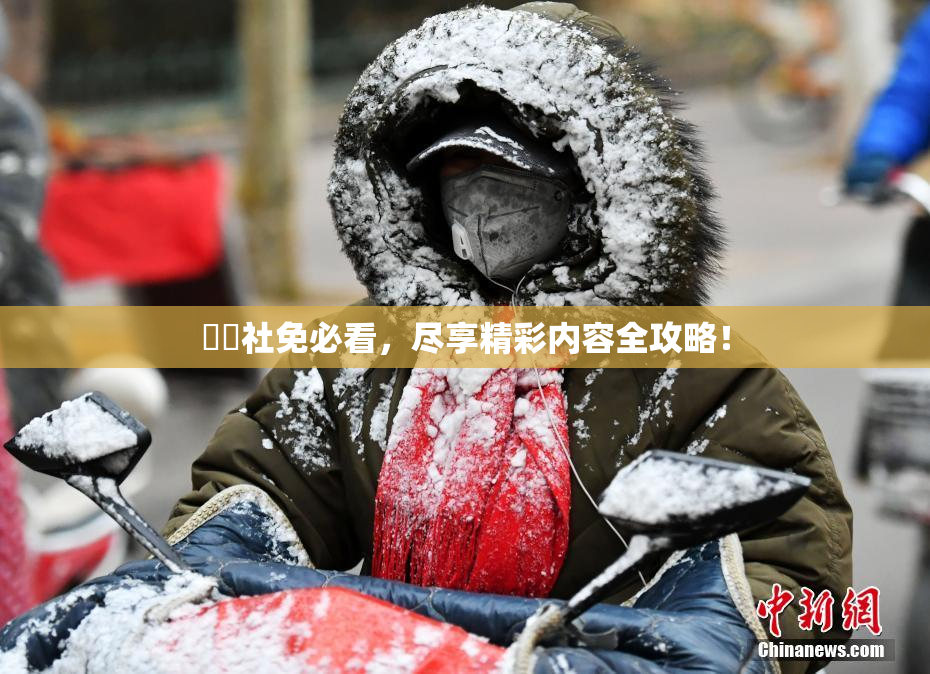 擼擼社免必看，尽享精彩内容全攻略！