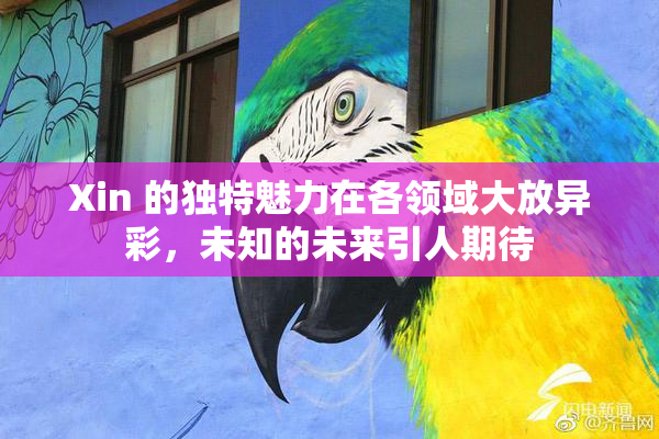 Xin 的独特魅力在各领域大放异彩，未知的未来引人期待