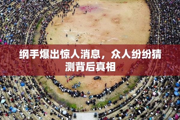 纲手爆出惊人消息，众人纷纷猜测背后真相