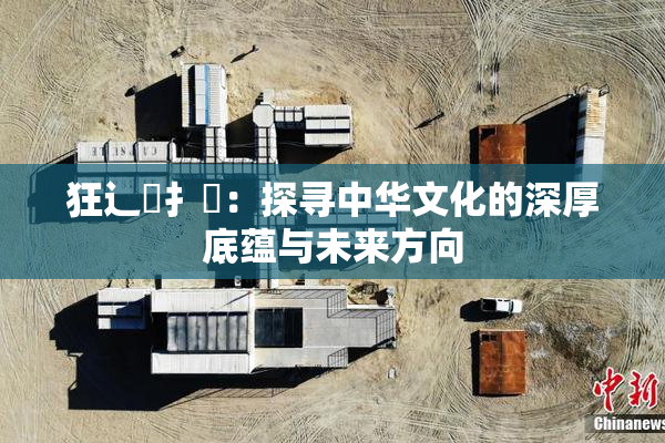 狂辶喿扌畐：探寻中华文化的深厚底蕴与未来方向