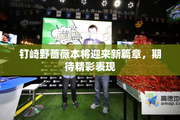 钉崎野蔷薇本将迎来新篇章，期待精彩表现