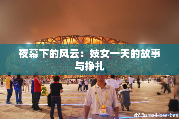 夜幕下的风云：妓女一天的故事与挣扎