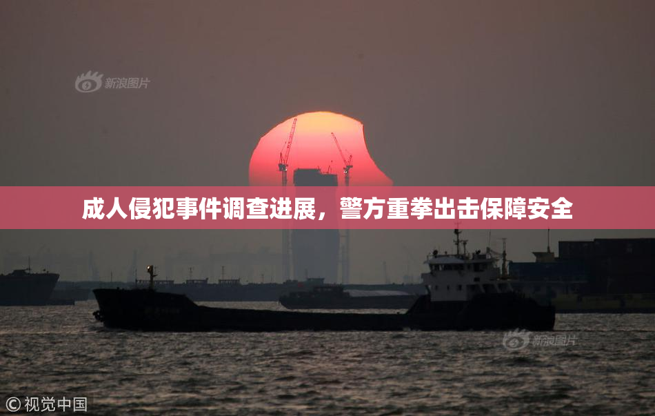 成人侵犯事件调查进展，警方重拳出击保障安全