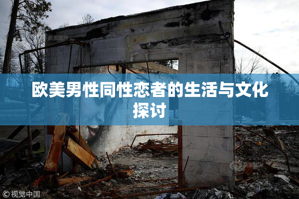 欧美男性同性恋者的生活与文化探讨