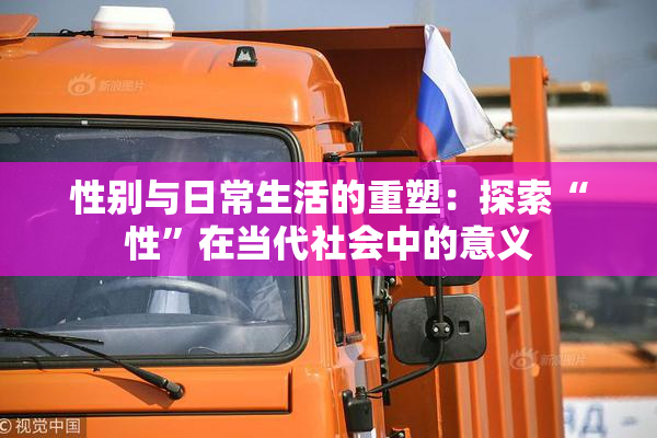 性别与日常生活的重塑：探索“性”在当代社会中的意义