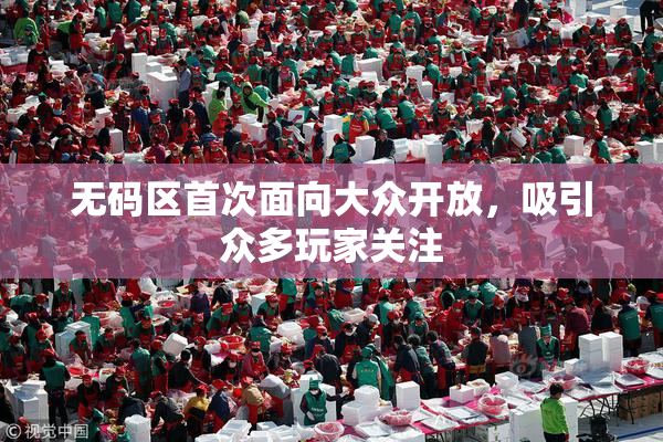 无码区首次面向大众开放，吸引众多玩家关注