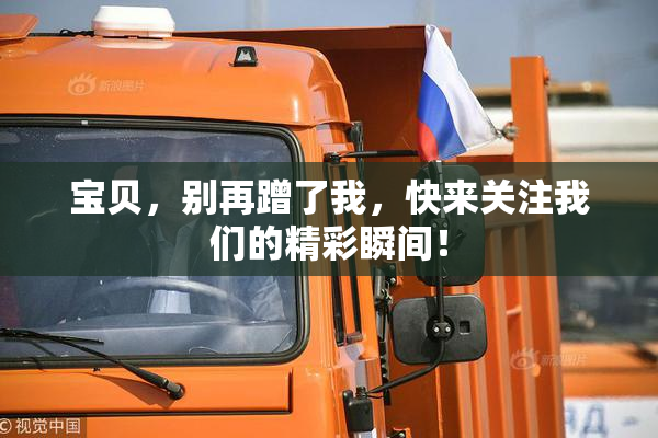 宝贝，别再蹭了我，快来关注我们的精彩瞬间！
