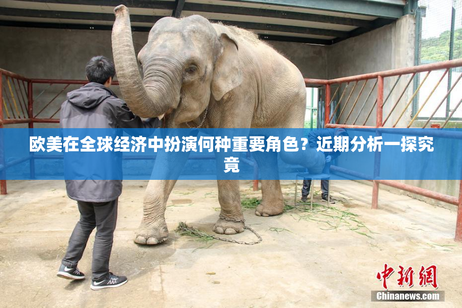 欧美在全球经济中扮演何种重要角色？近期分析一探究竟