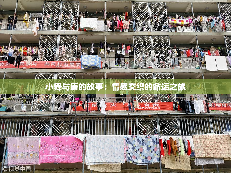 小舞与唐的故事：情感交织的命运之旅