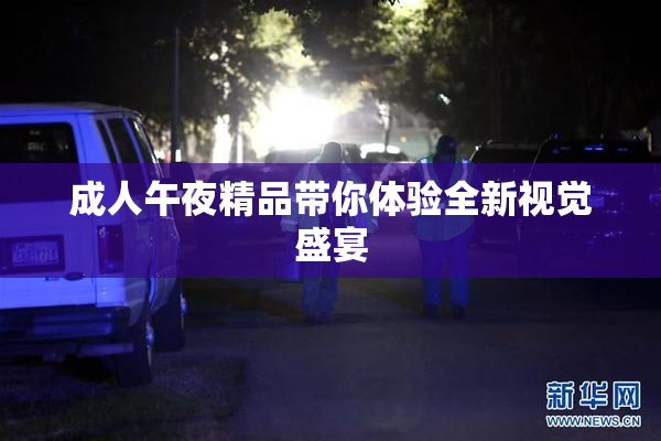 成人午夜精品带你体验全新视觉盛宴