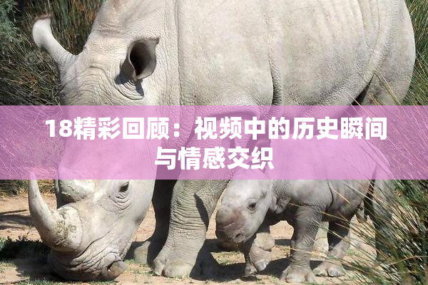 18精彩回顾：视频中的历史瞬间与情感交织
