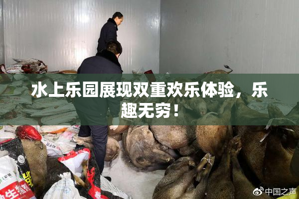 水上乐园展现双重欢乐体验，乐趣无穷！