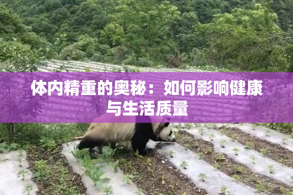 体内精重的奥秘：如何影响健康与生活质量
